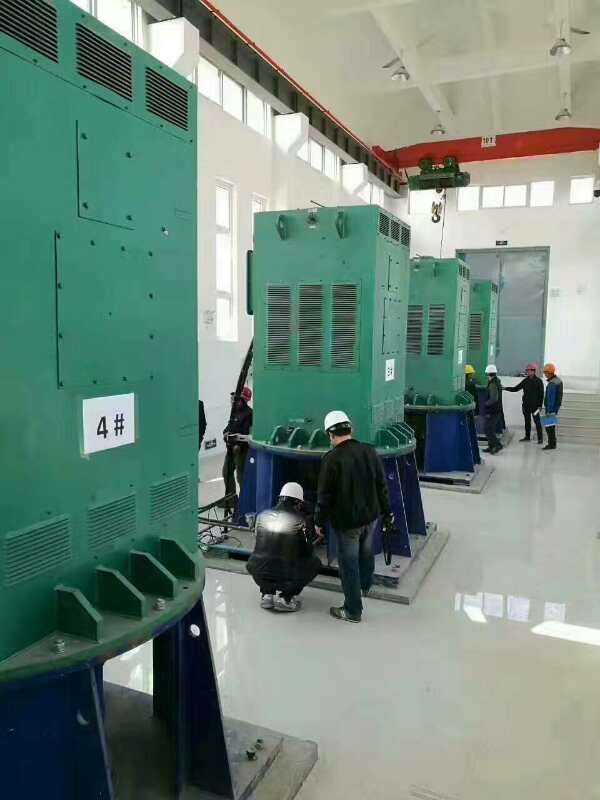 苏尼特右某污水处理厂使用我厂的立式高压电机安装现场生产厂家